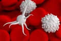 Platelet thrombocyte with red and white blood cells 3d illustration close-up